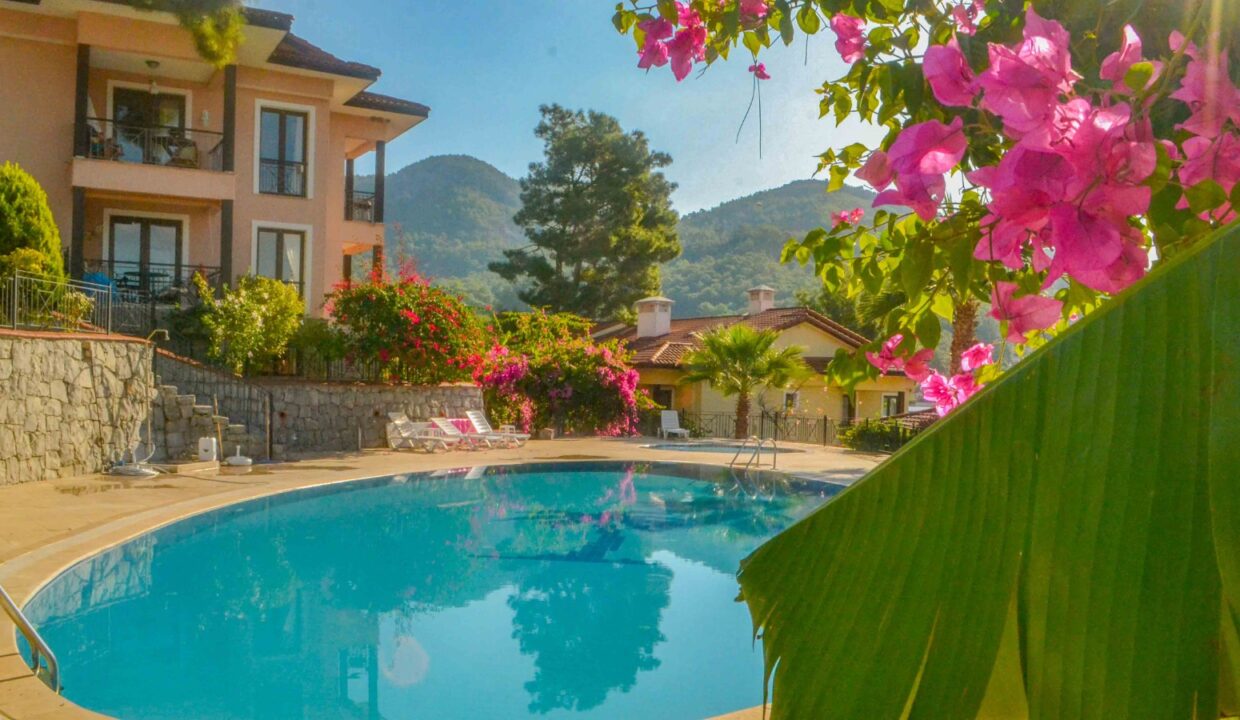 WhatsApp Image 2026-01-31 at 15.44.40 (1)