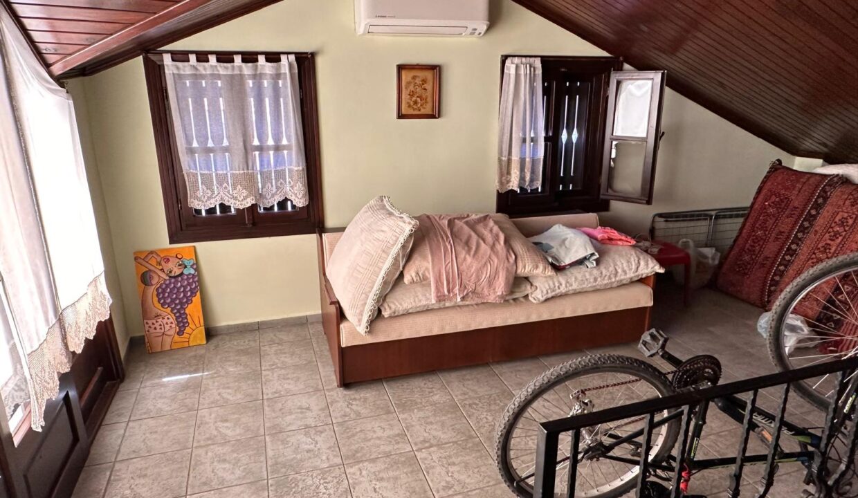 WhatsApp Image 2025-11-05 at 17.49.48