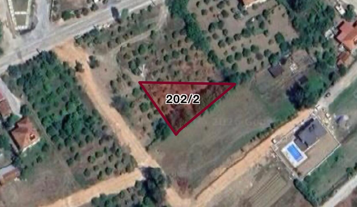 WhatsApp Image 2026-02-04 at 11.54.11