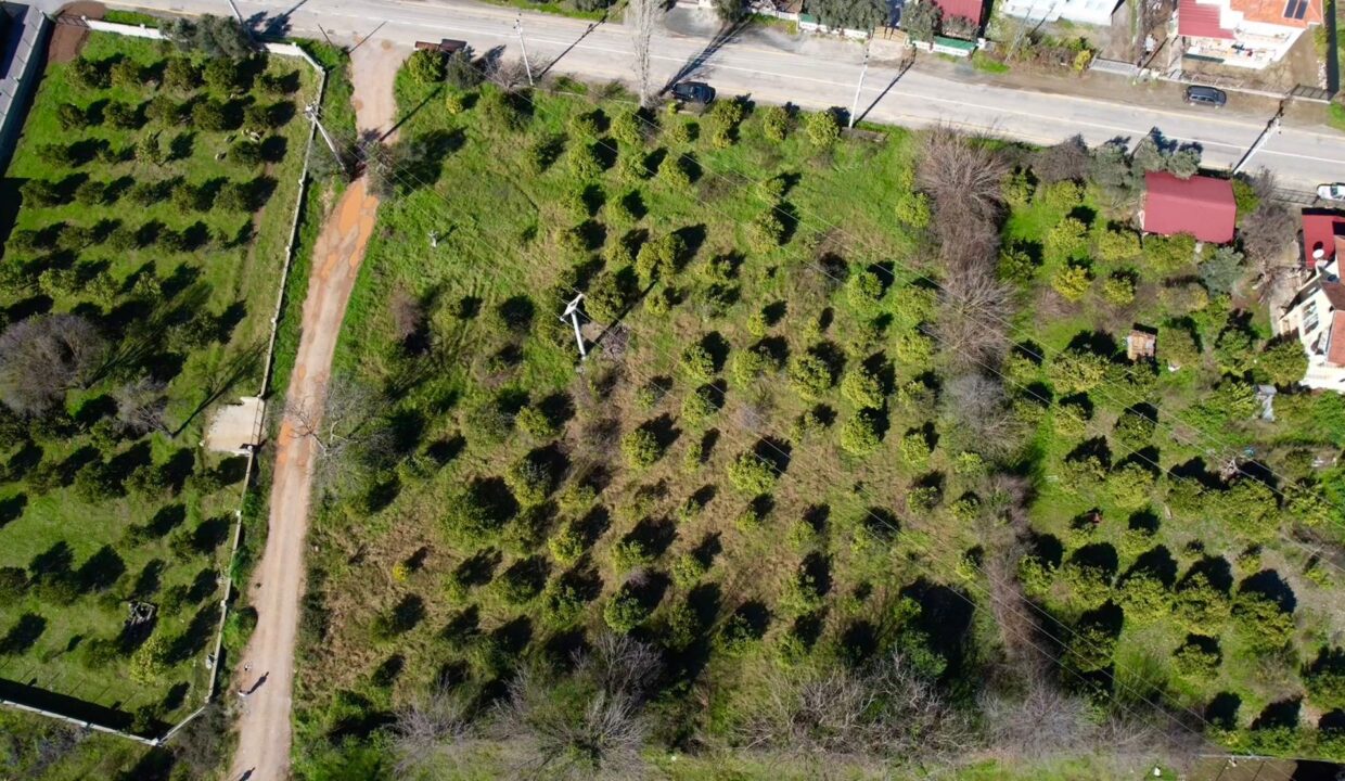 WhatsApp Image 2026-02-04 at 11.54.12 (1)