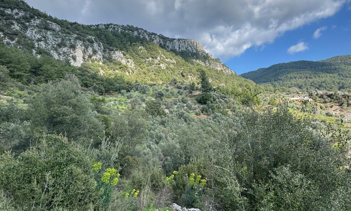 WhatsApp Image 2026-02-24 at 16.40.35 (3)