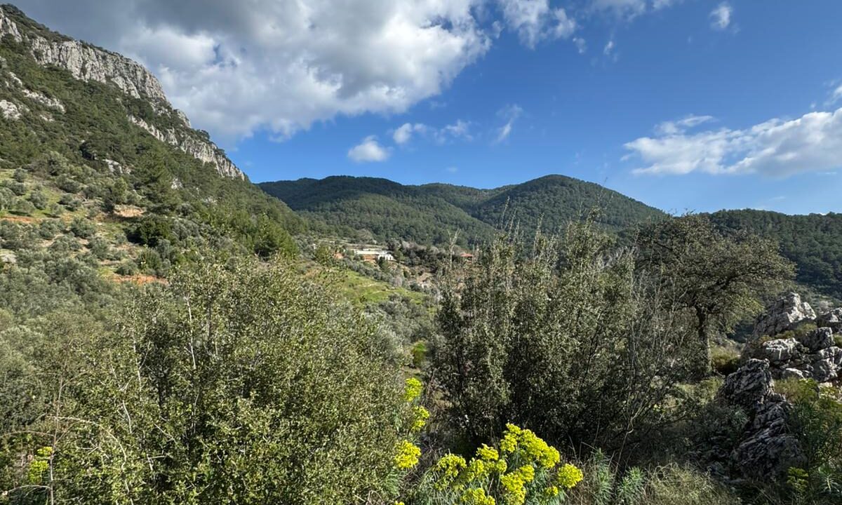 WhatsApp Image 2026-02-24 at 16.40.35 (6)