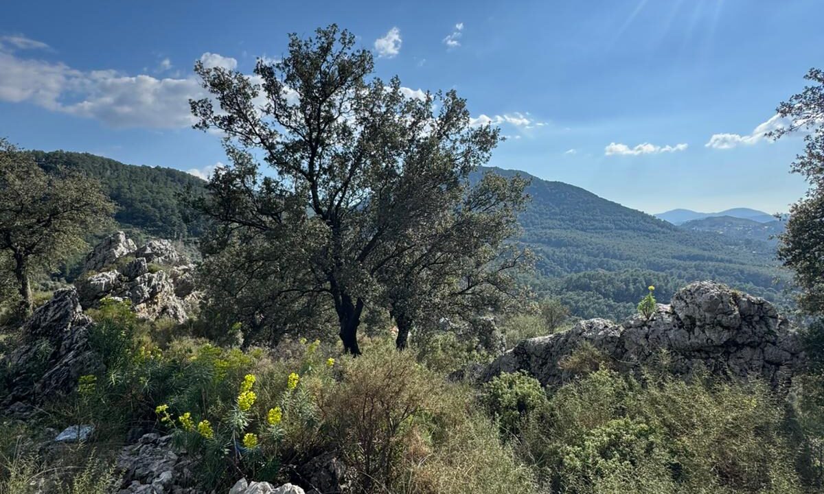 WhatsApp Image 2026-02-24 at 16.40.36