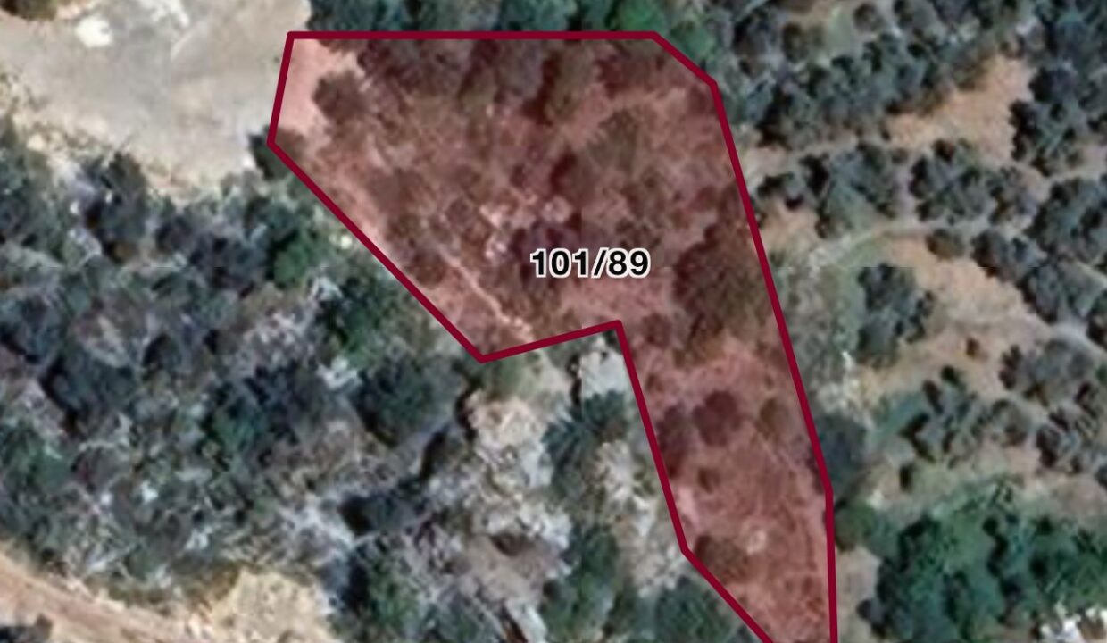 WhatsApp Image 2026-02-24 at 16.43.27